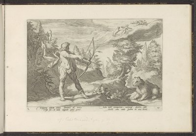 Arcas okunu Callisto