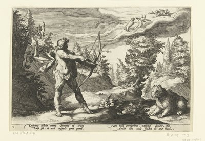 Arcas okunu Callisto