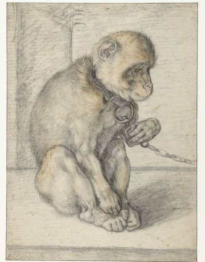 Zincirde Oturan Maymun Zincire Bağlanmış Maymun, Oturmuş by Hendrick Goltzius