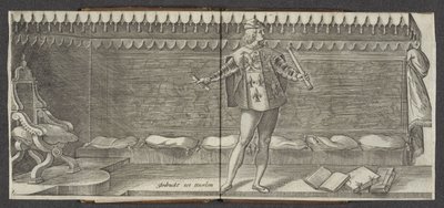 haberci Hollandt Zeelandt ve de Vrieslandt sayılarının kökeni ve kısa tarihçesi (seri başlığı) Hollanda Kontları ve Kontesleri (dizi adı) by Hendrick Goltzius