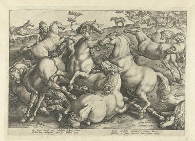 On iki dövüş atı Avusturya Don Juan Kraliyet Ahırlarından At Irkları (seri başlığı) by Hendrick Goltzius