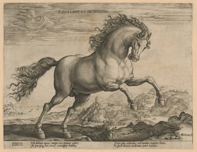 vahşi at Eqvvs liber et incompǒsitvs (nesne üzerindeki başlık) Avusturya Don Juan Kraliyet Ahırlarından At Irkları (seri başlığı) by Hendrick Goltzius
