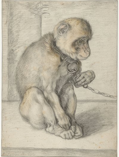 Zincirin üzerinde oturan bir maymun. 1592-1602 by Hendrik Goltzius