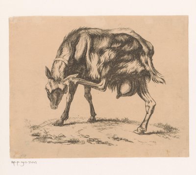 Kafasını kaşıyan keçi by Hendrik Jozef Franciscus van der Poorten