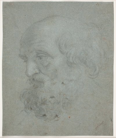Sakallı Adamın Başı (Havari Petrus) by Hendrik Krock