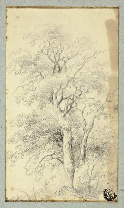 Ağaç by Hendrik Pieter Koekkoek