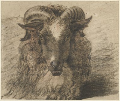 Bir koç başı by Hendrik Stokvisch