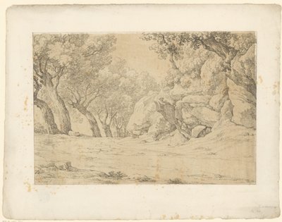 Aşırı büyümüş kayaların olduğu cadde Tentamina Lithographica (dizi adı) İtalyan manzaraları (dizi başlığı) by Hendrik Voogd