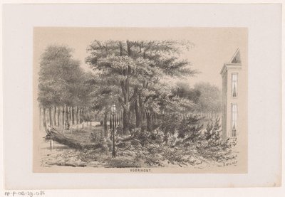 28 Mayıs 1860 fırtınasından sonra Voorhout yakınlarında ağaç devrildi Voorhout (nesne üzerindeki başlık) Schev