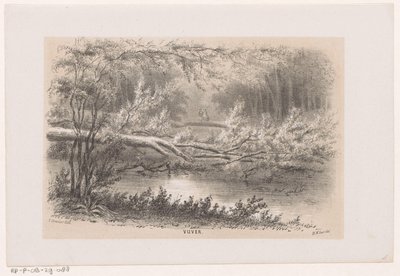 28 Mayıs 1860 fırtınasından sonra ağaç havaya uçtu Gölet (nesne üzerindeki başlık) Tooneelen of the Destruction, Gravenhaagsche Bosch