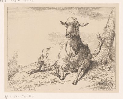 yalancı keçi Farklı hayvanlar (dizi başlığı) by Hendrik Willem Schweickhardt