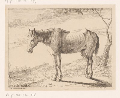 Atış Farklı hayvanlar (dizi başlığı) by Hendrik Willem Schweickhardt
