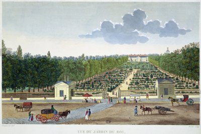 Austerlitz köprüsünden Paris
