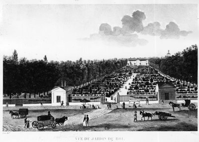 Kralın bahçesinden görünüm: Paris