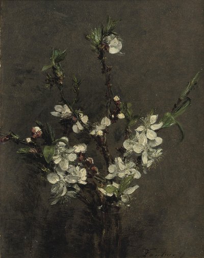 meyve ağacı çiçekleri by Ignace Henri Jean Fantin Latour