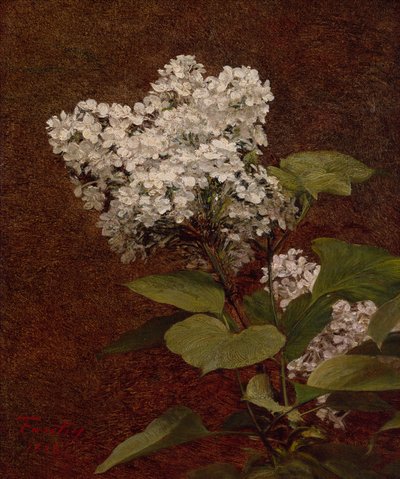 Beyaz Leylaklar by Ignace Henri Jean Fantin Latour