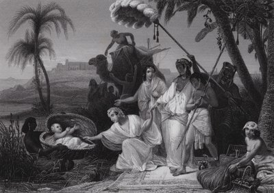Musa