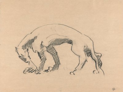 Profildeki Dişi Aslan by Henri Gaudier Brzeska