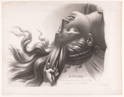 Saçından çekilen genç bir kadının başı Étude dessinée d'après le tableau d'une Scène de Déluge peint par AL Girodet (nesne üzerindeki başlık) by Henri Guillaume Chatillon