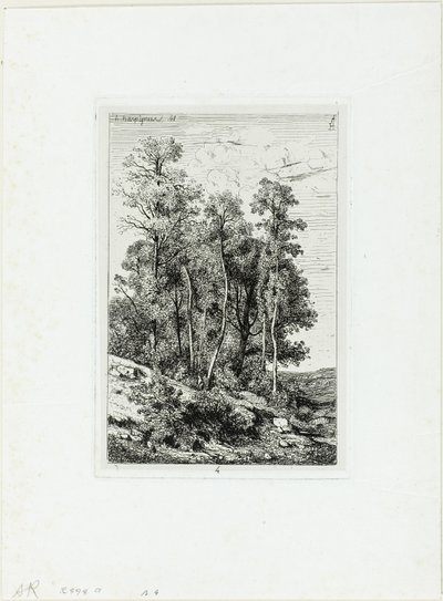 Huş ve Meşe by Henri Joseph Harpignies