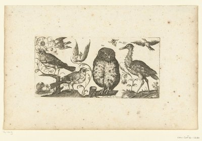 Nine Birds and an Insect Birds (dizi adı) by Henri Le Roy