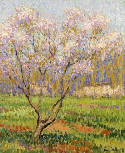 Çiçekte Elma Ağacı; elma çiçekleri, by Henri Martin