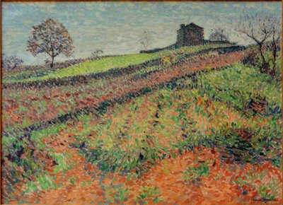 Kırsal kesim by Henri Martin