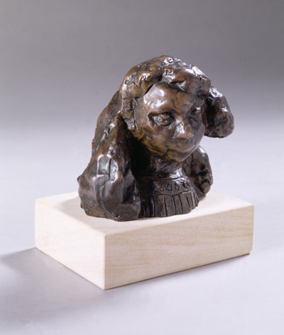Fillette (Marguerite) büstü, c.1905-06 (kahverengi patinalı bronz) by Henri Matisse
