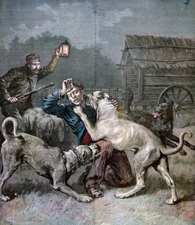 Üç büyük köpeğin saldırısına uğrayan bir suçlu, 1891 by Henri Meyer