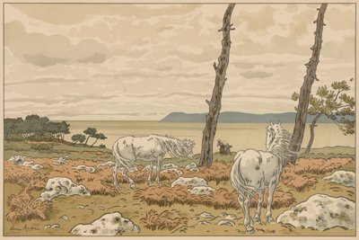 Doğanın Yönleri: Körfez by Henri Rivière