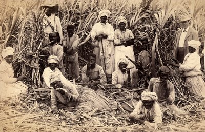 Şeker kamışı kesiciler, Jamaika by Henri S. Duperly