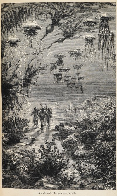 Jules Verne tarafından yazılan 'Denizler Altında 20 000 Fersah' için İllüstrasyon by Henri Theophile Hildibrand