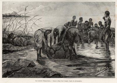 Orta Afrika nehrinin kıyısında bir su aygırı kasap dükkanı. Henri Thiriat tarafından, Albert Nebout (1862-1939) tarafından 1890