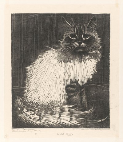 Bonte Angora (nesne üzerindeki orijinal başlık) by Henri Verstijnen (signed by artist)