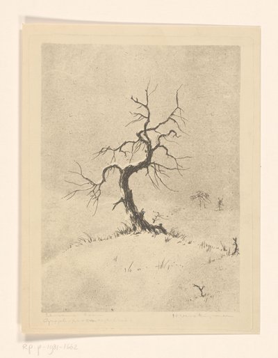 Yalnız Ağaç (nesnedeki orijinal başlık) by Henri Verstijnen (signed by artist)