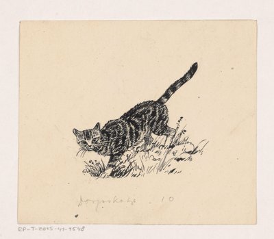 Kat by Henri Verstijnen