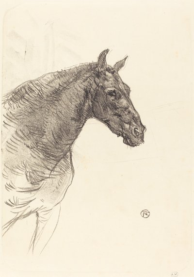 yaşlı at by Henri de Toulouse Lautrec