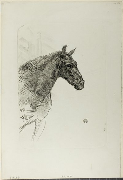 Midilli Philibert by Henri de Toulouse-Lautrec