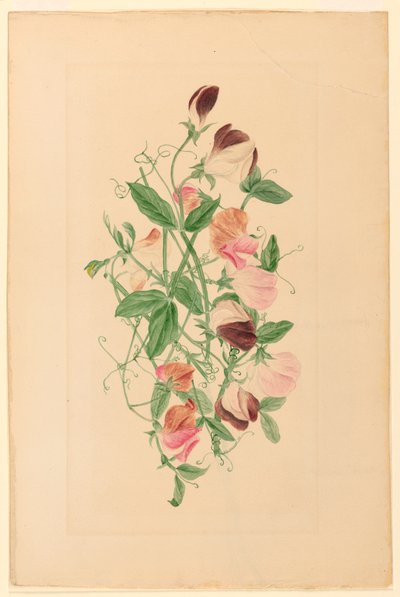  by Henrietta Benson Homer