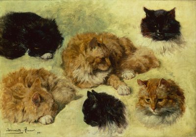 Kedi Çalışmaları by Henriëtte Ronner Knip