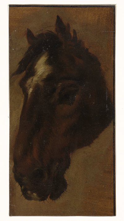 at kafası by Henriëtte Ronner