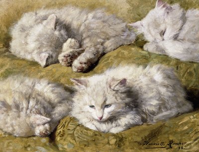 Uzun Tüylü Beyaz Kedinin Çalışmaları, 1896 by Henriëtte Ronner Knip