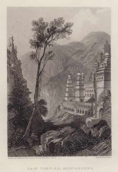 Jain Tapınakları, Muktagerri (renkli taş) by Henry (after) Warren