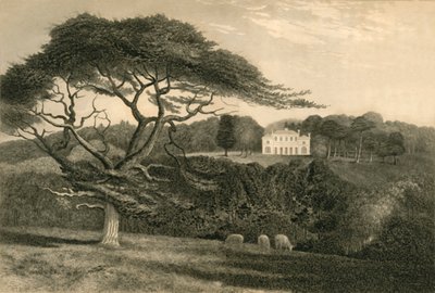 "Yeldeğirmeni Tepesi", 1835. by Henry Alexander Ogg