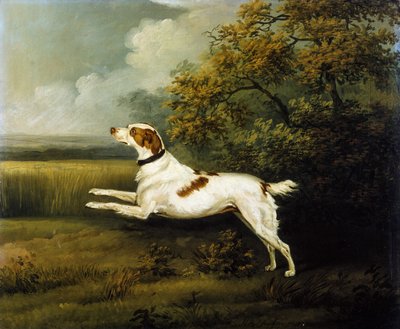 Bir Peyzajda Bir Springer Spaniel by Henry Bernard Chalon