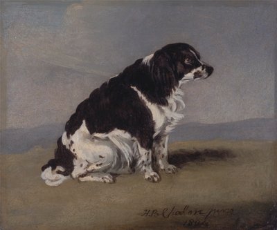 York'un Spaniel Düşesi by Henry Bernard Chalon