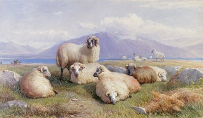 Yaylaların Kalbinde by Henry Brittan Willis