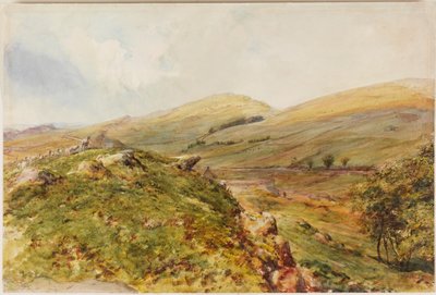 Cockmount Tepesi (gövde rengi) by Henry Burdon Richardson