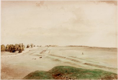 Down Hill, Northumberland (gövde rengi) by Henry Burdon Richardson