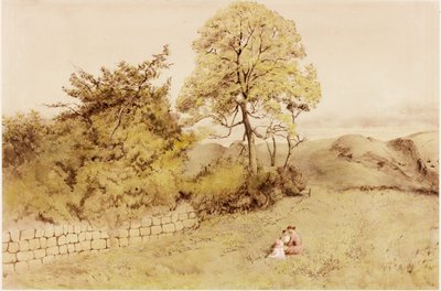 Duvarda Heddon (gövde rengi) by Henry Burdon Richardson